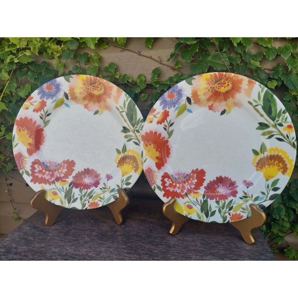 2 Kim Parker Gourmet Basics Zinnia Garden 10.5" Dinner Plates by Mikasa